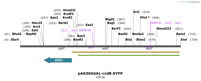 20600_map
