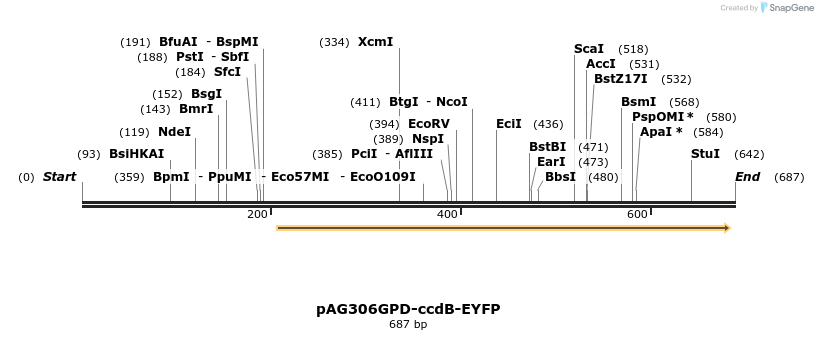 20601_map