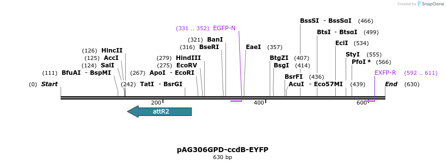 20603_map
