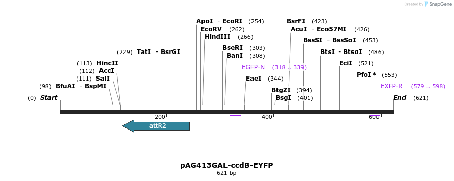 20606_map
