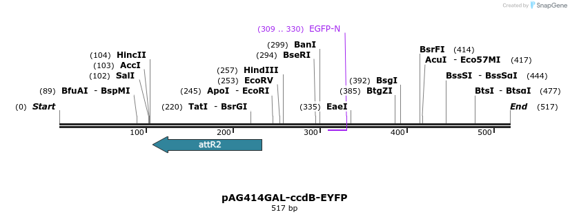 20610_map