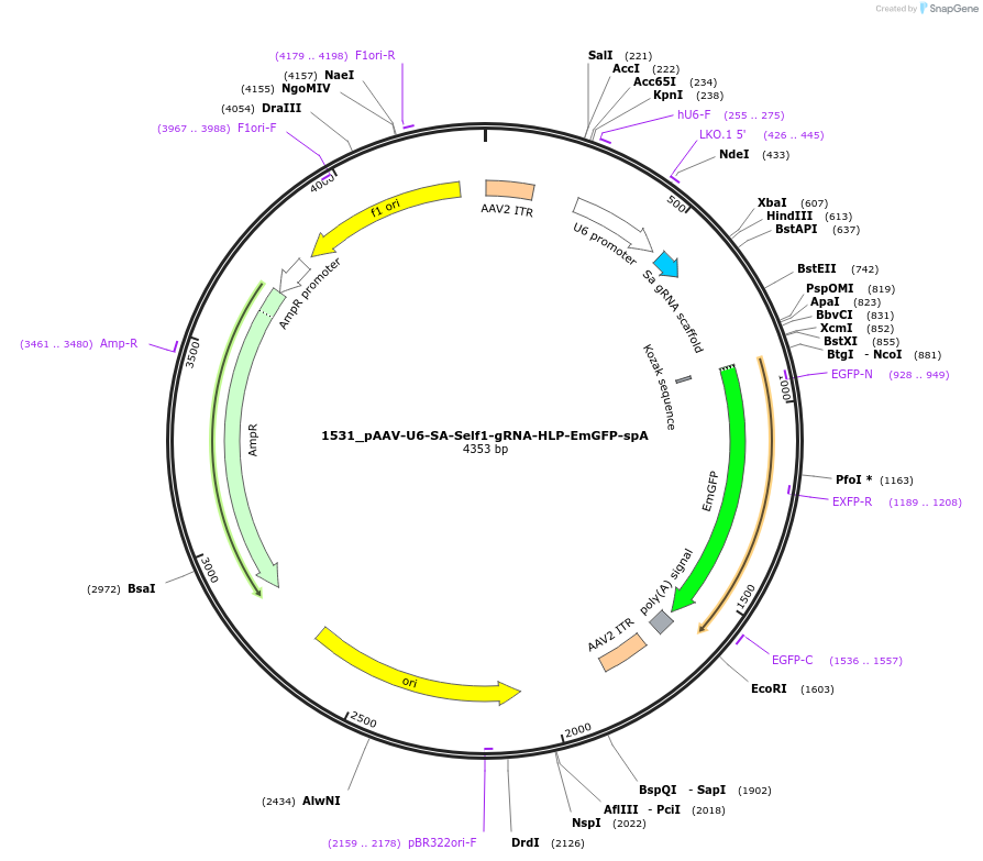 206101_map