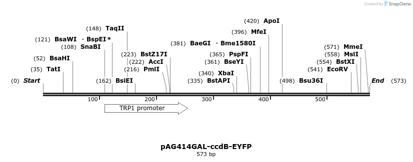 20612_map
