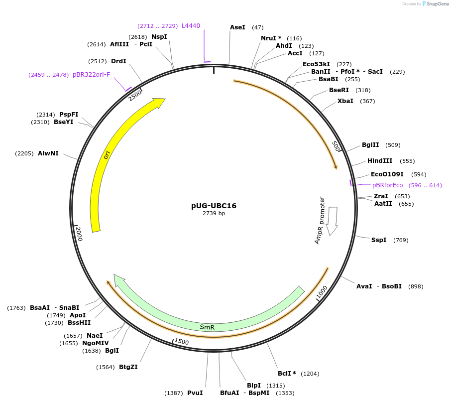 206127_map