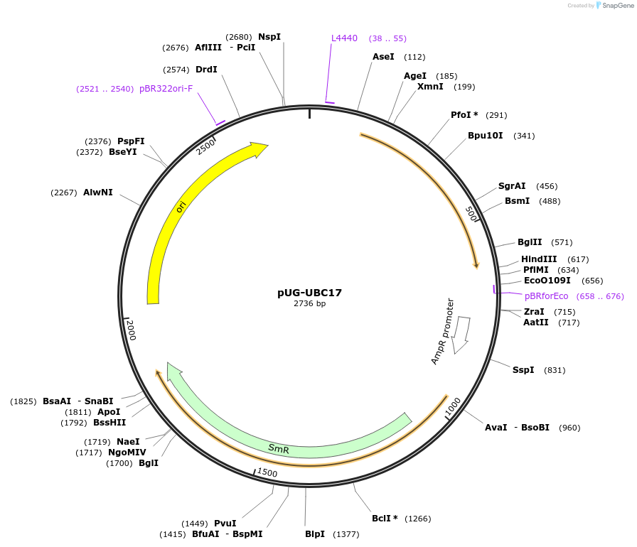 206128_map