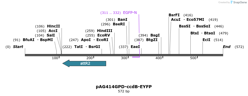 20613_map