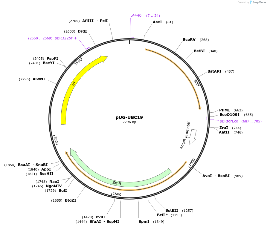 206131_map