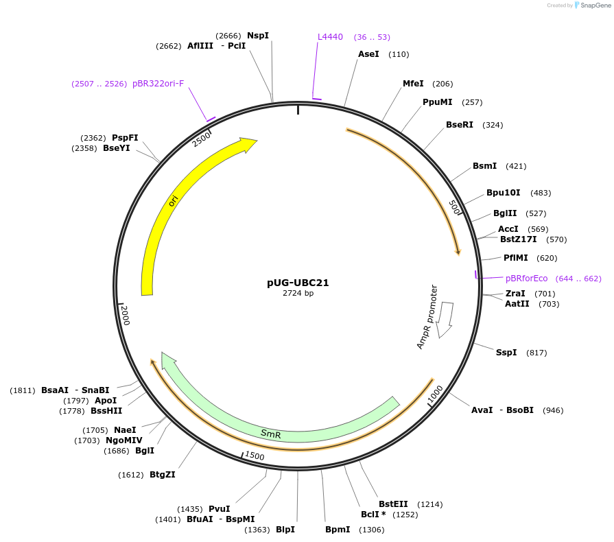 206133_map