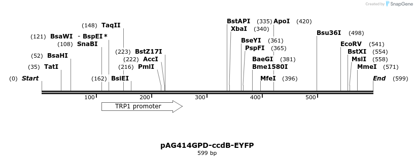 20615_map