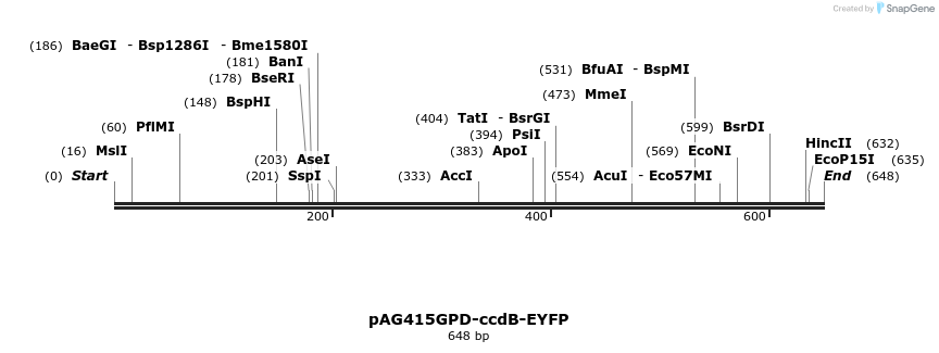20619_map