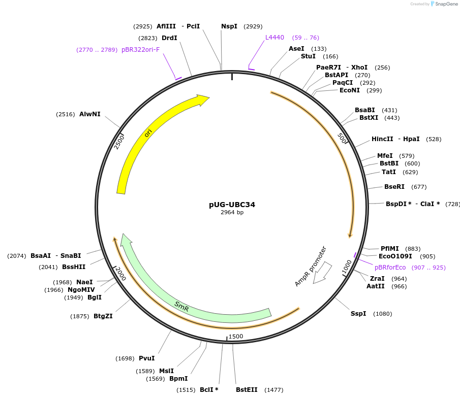 206199_map