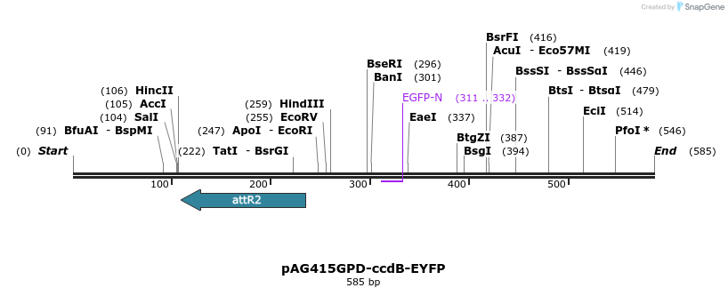 20621_map