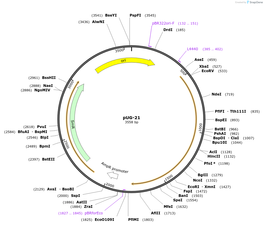 206213_map