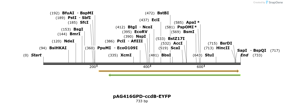 20625_map