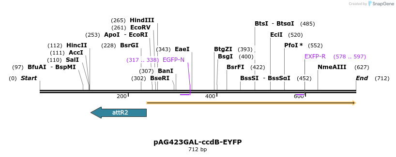 20630_map