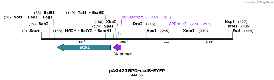 20632_map