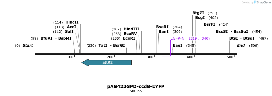 20633_map