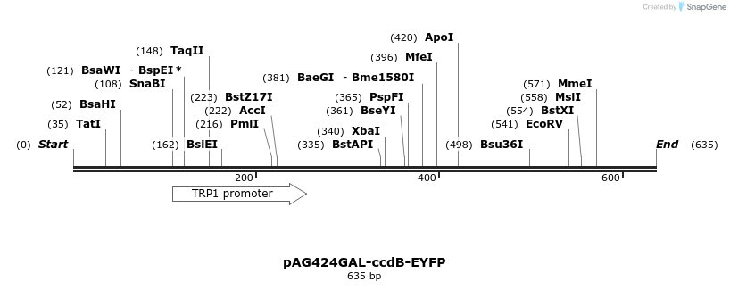 20634_map