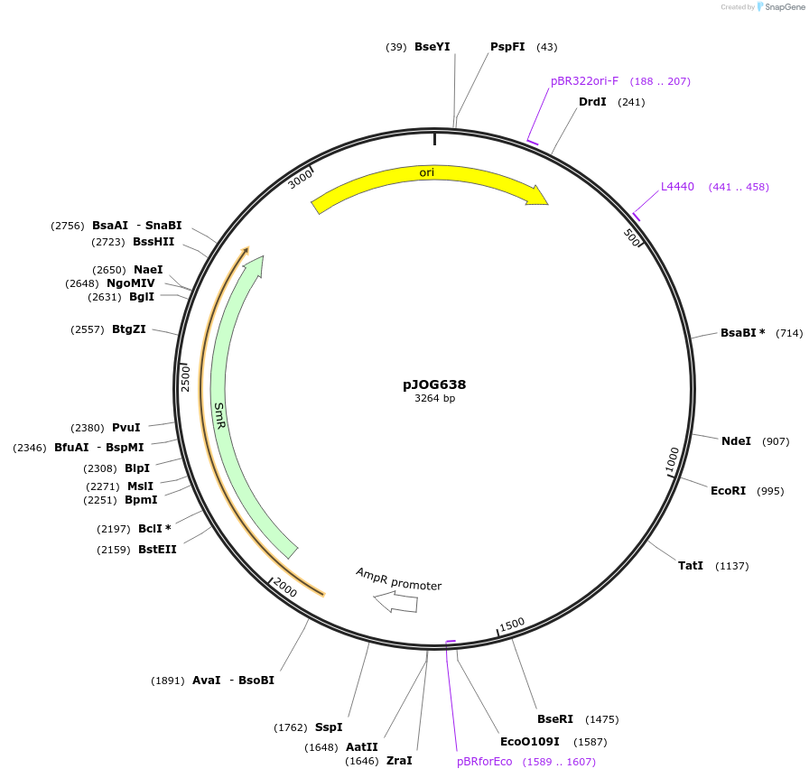 105389-plasmid-map-sequence-id-206389