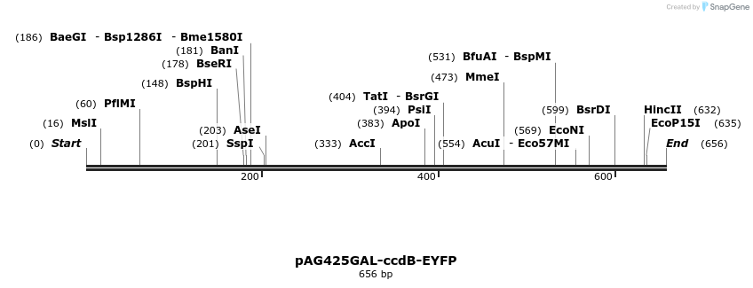 20640_map