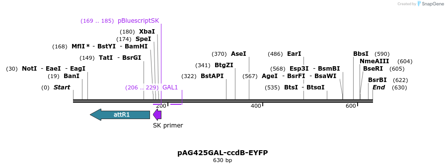 20641_map