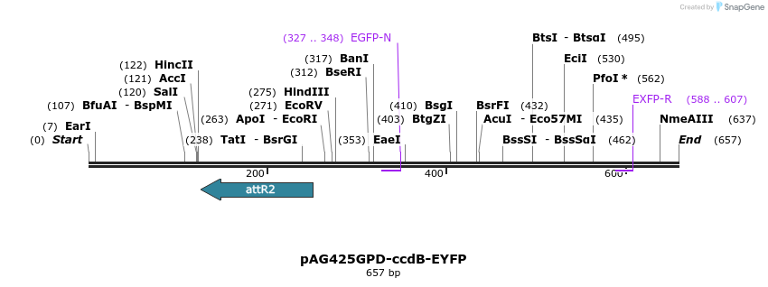 20645_map