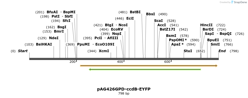 20649_map