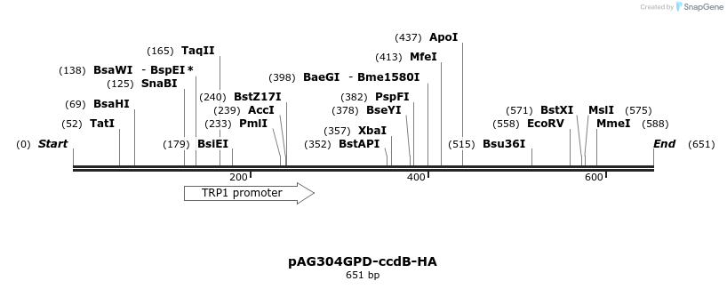 20657_map