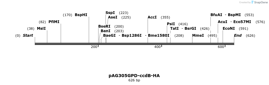 20663_map