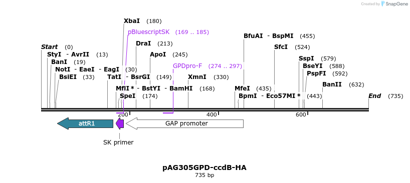 20664_map
