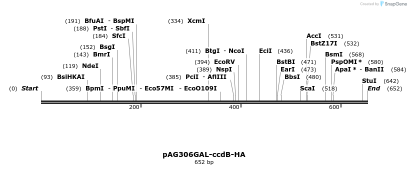 20666_map