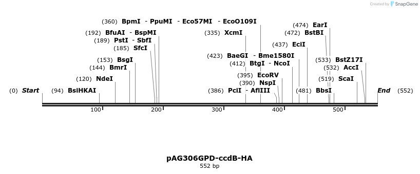 20669_map