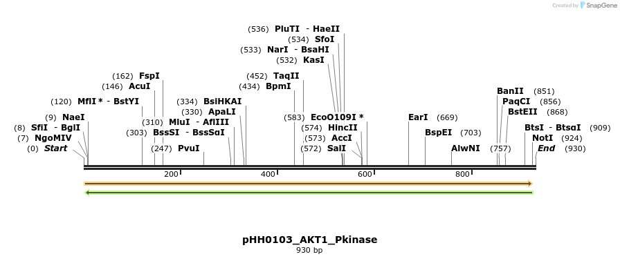 206727_map