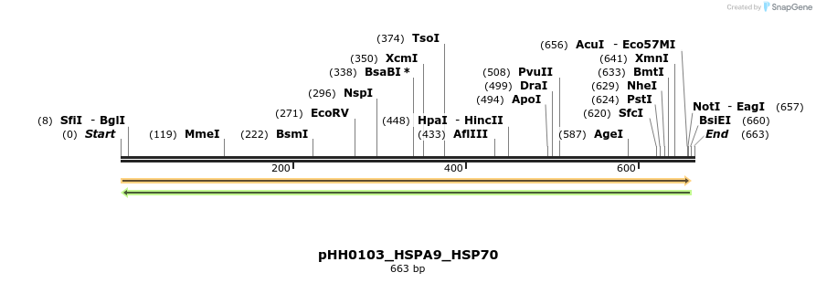 206728_map