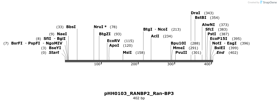 206729_map