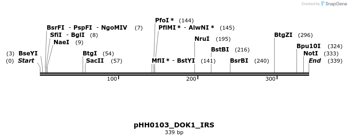 206731_map