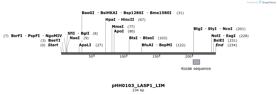 206732_map