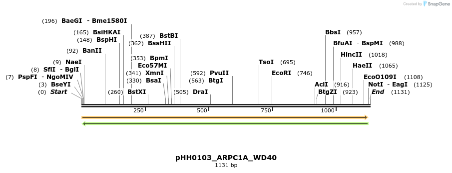 206736_map