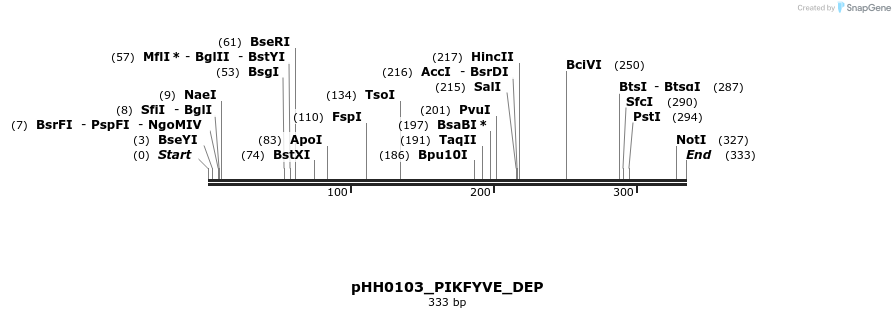 206741_map