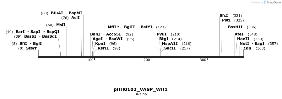 206742_map