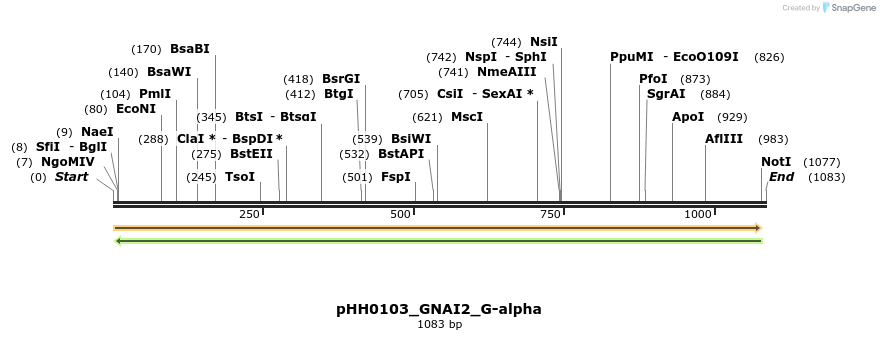 206743_map