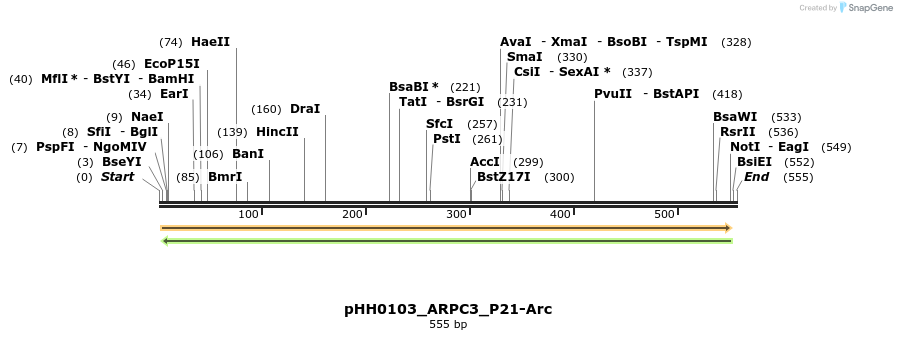 206745_map