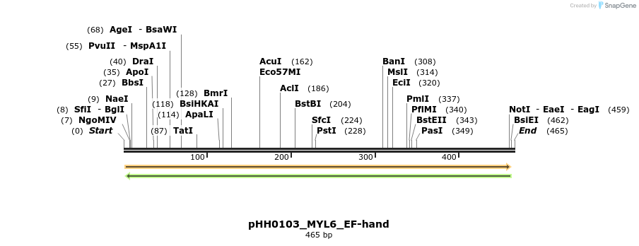 206746_map