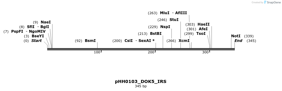 206749_map