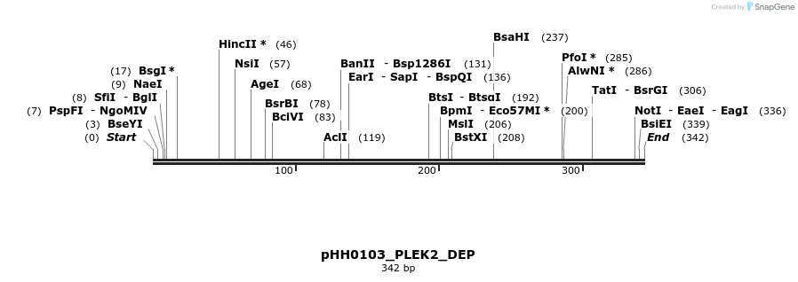 206750_map