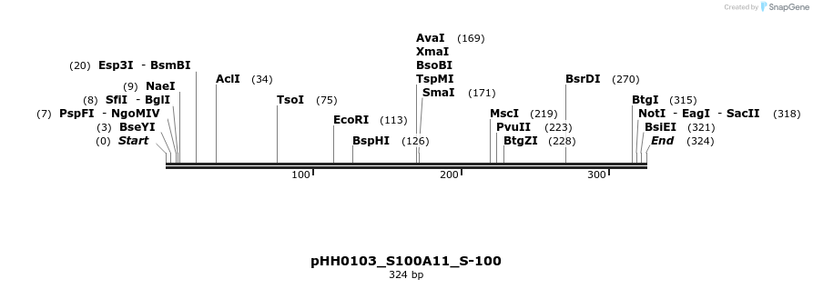 206756_map
