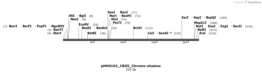 206757_map