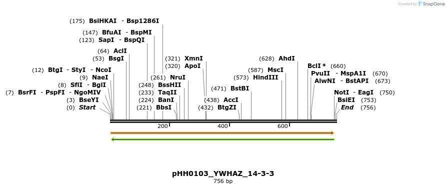 206760_map