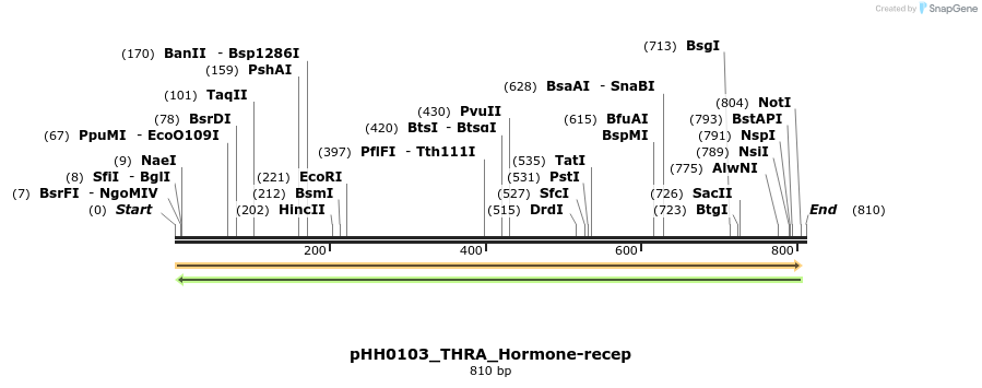 206762_map