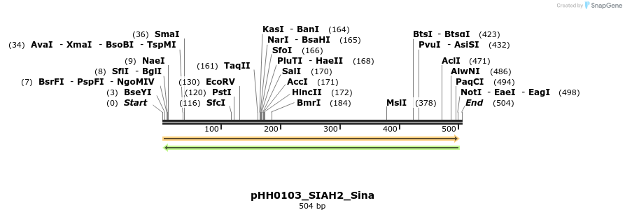 206765_map